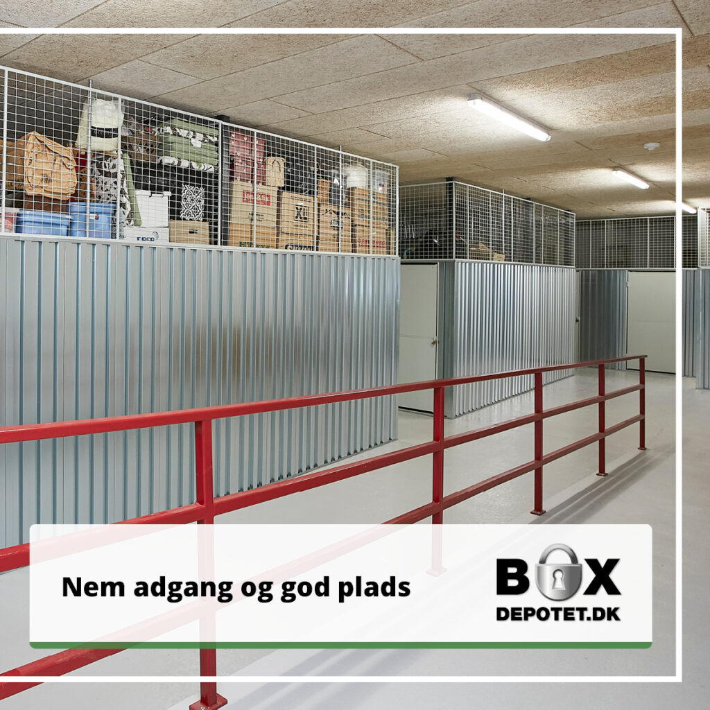 339136725 5560719914029782 4534287410031445835 n 1024x1024